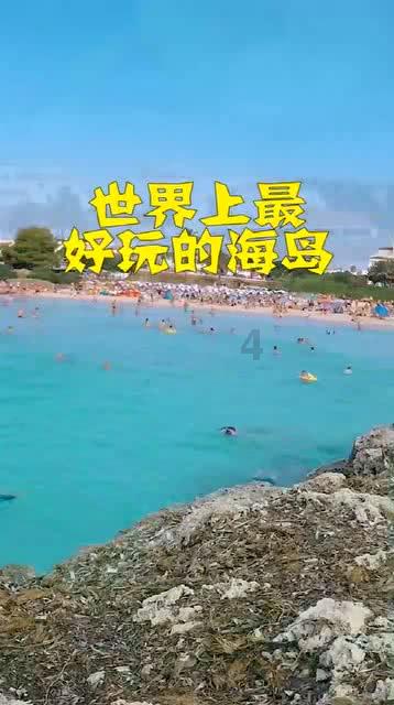 寻找奈良树花
