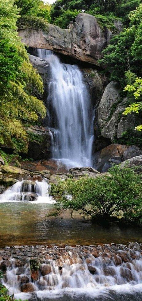 勇闯精灵大陆4